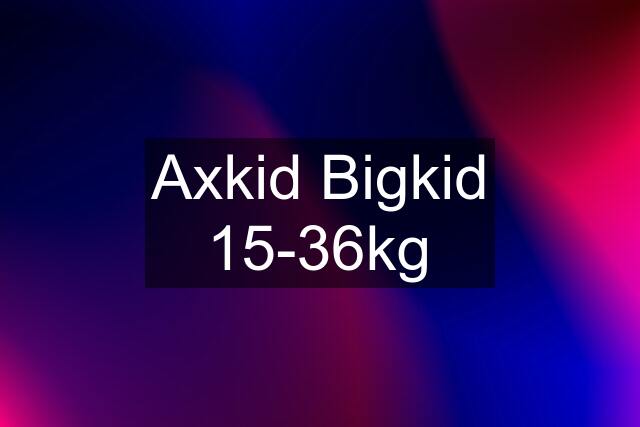 Axkid Bigkid 15-36kg