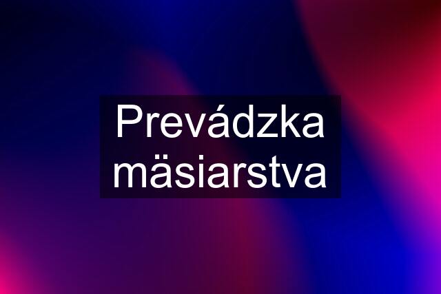 Prevádzka mäsiarstva