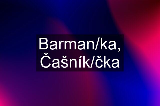 Barman/ka, Čašník/čka