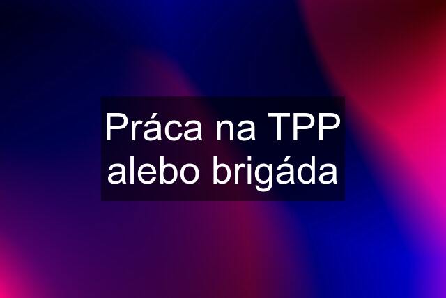 Práca na TPP alebo brigáda