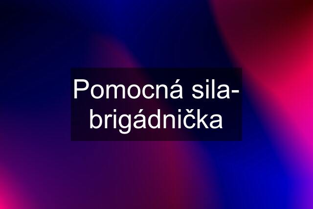 Pomocná sila- brigádnička