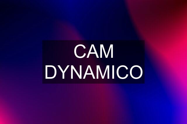 CAM DYNAMICO