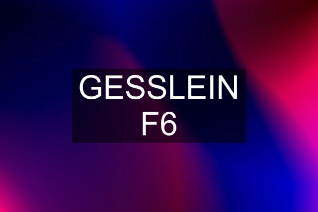 GESSLEIN F6