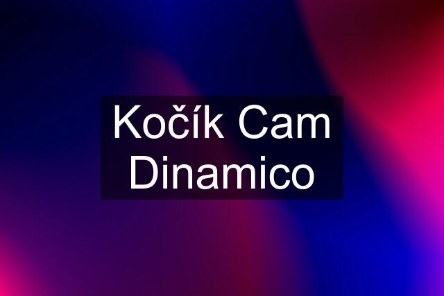 Kočík Cam Dinamico