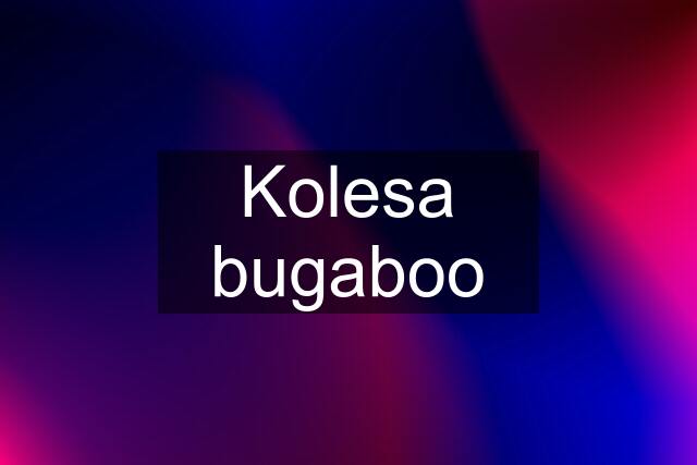 Kolesa bugaboo