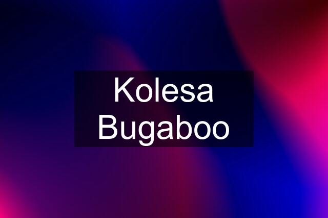 Kolesa Bugaboo