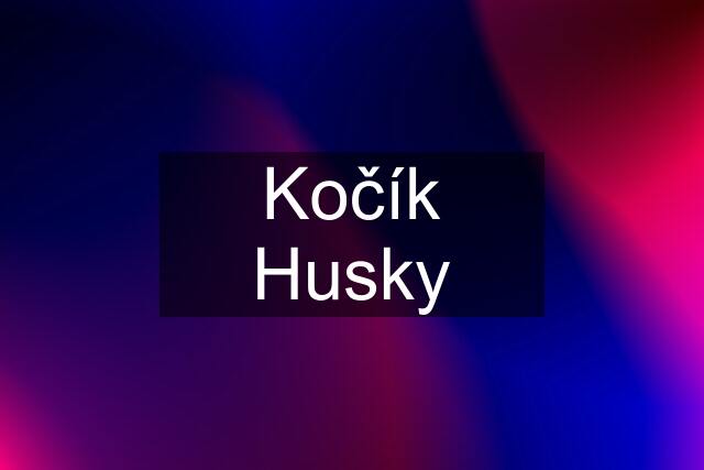 Kočík Husky