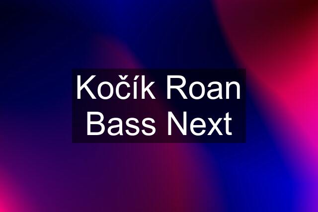 Kočík Roan Bass Next