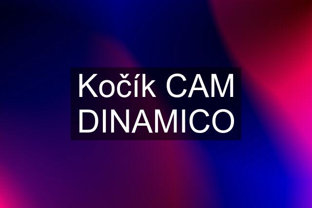 Kočík CAM DINAMICO