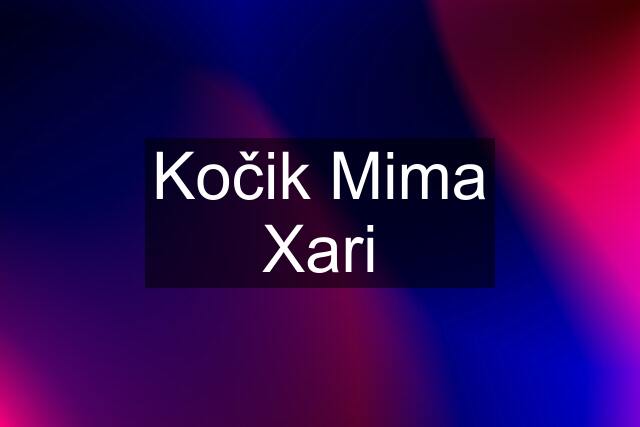 Kočik Mima Xari