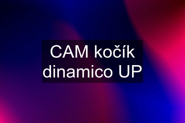 CAM kočík dinamico UP