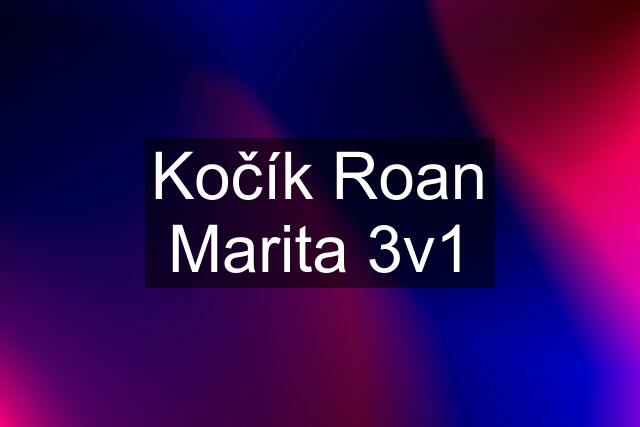 Kočík Roan Marita 3v1