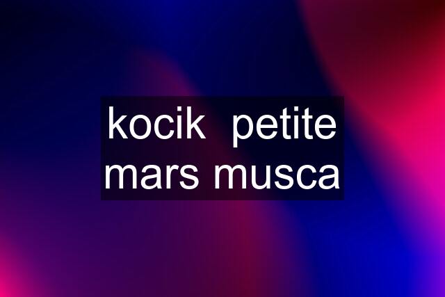 kocik  petite mars musca