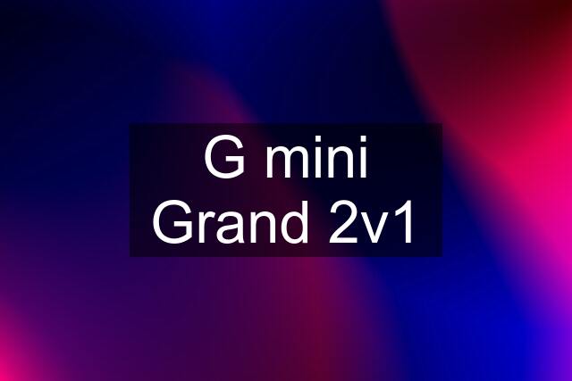 G mini Grand 2v1