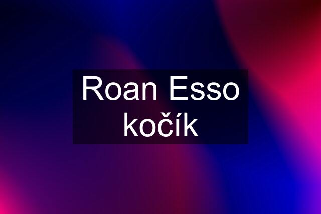 Roan Esso kočík