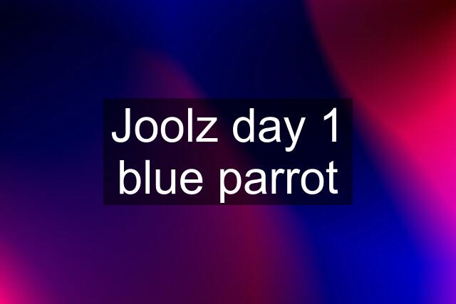 Joolz day 1 blue parrot