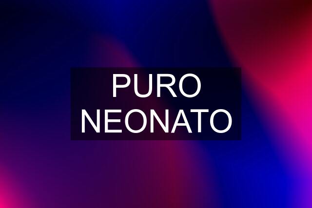 PURO NEONATO