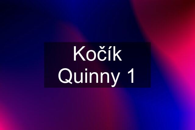 Kočík Quinny 1