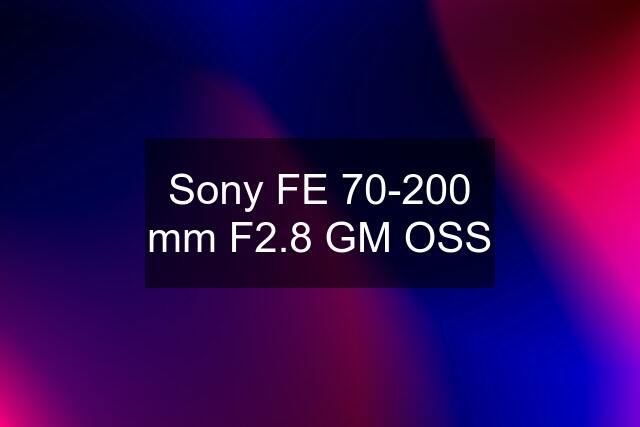 Sony FE 70-200 mm F2.8 GM OSS