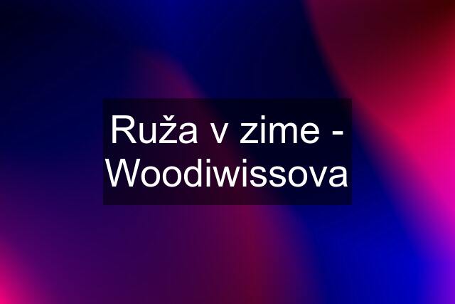 Ruža v zime - Woodiwissova