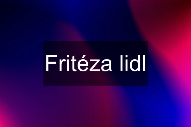 Fritéza lidl