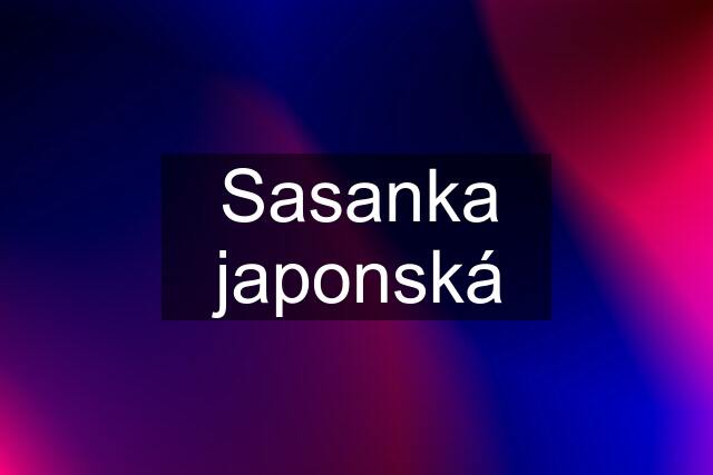 Sasanka japonská