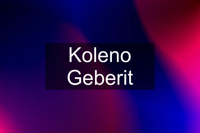 Koleno Geberit