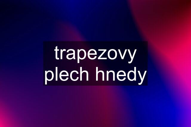 trapezovy plech hnedy