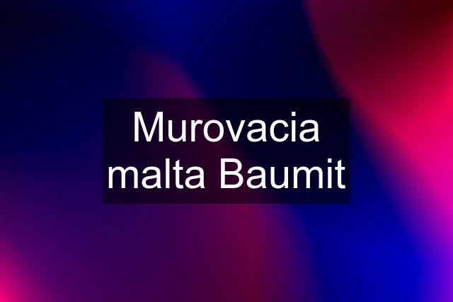 Murovacia malta Baumit