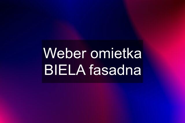 Weber omietka BIELA fasadna