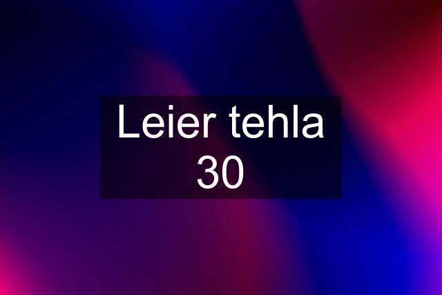 Leier tehla 30