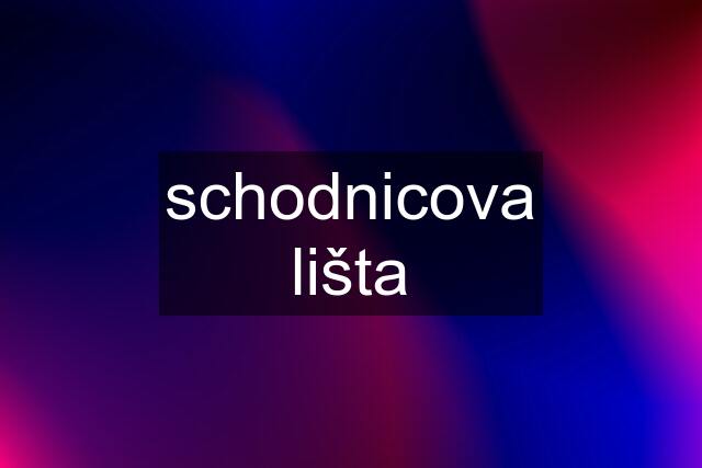 schodnicova lišta