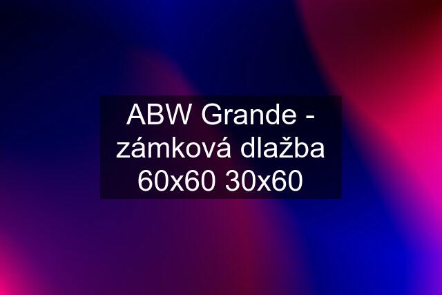 ABW Grande - zámková dlažba 60x60 30x60