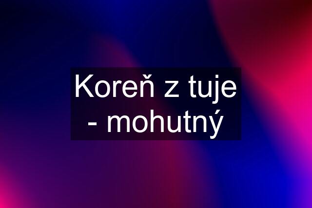 Koreň z tuje - mohutný