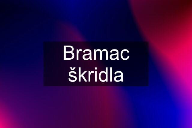 Bramac škridla