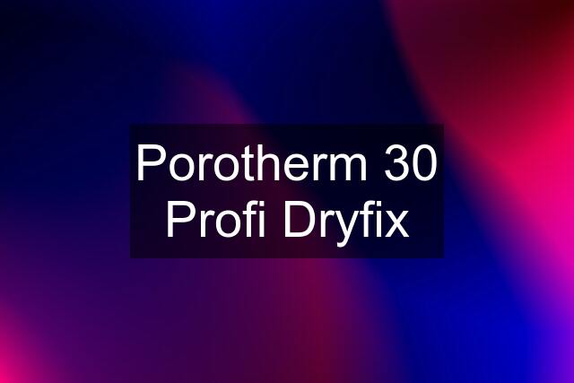 Porotherm 30 Profi Dryfix
