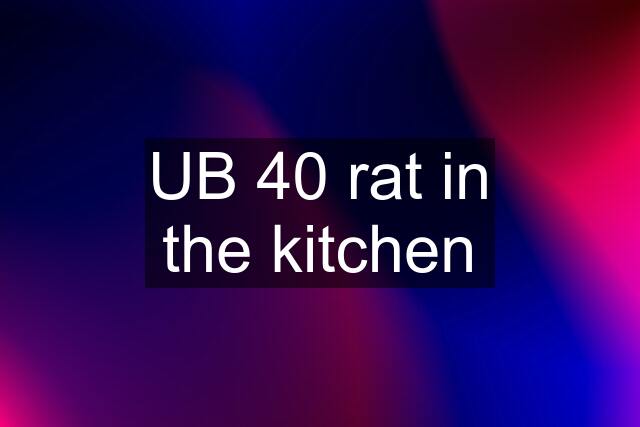 UB 40 rat in the kitchen