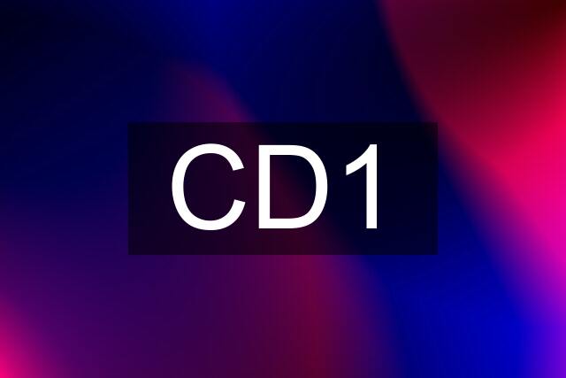 CD1