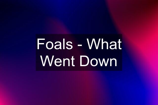 Foals - What Went Down