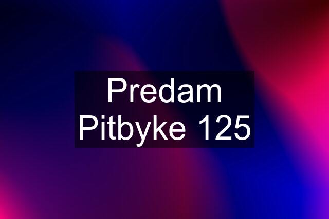 Predam Pitbyke 125