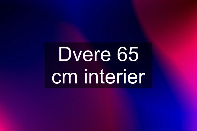 Dvere 65 cm interier