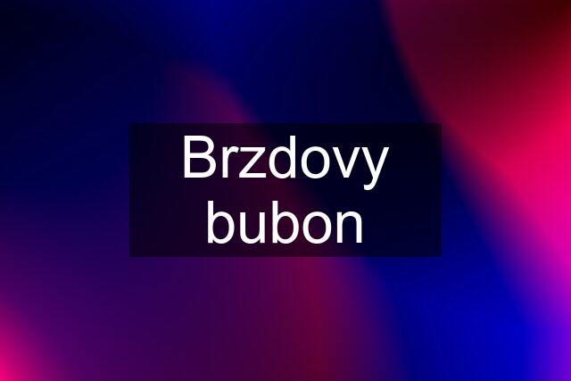 Brzdovy bubon