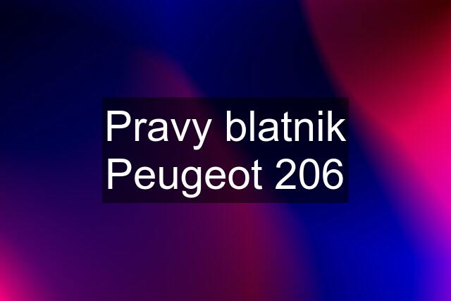 Pravy blatnik Peugeot 206