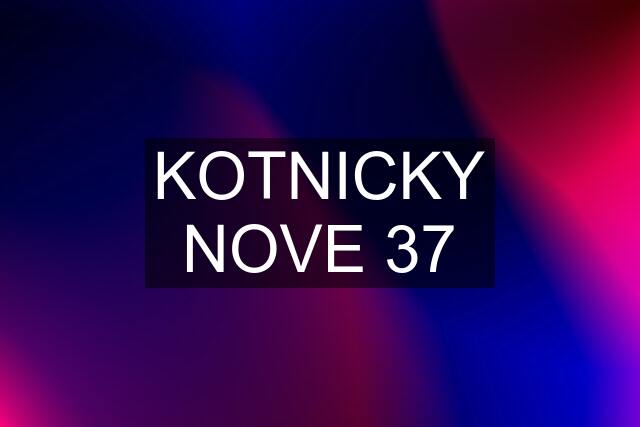 KOTNICKY NOVE 37