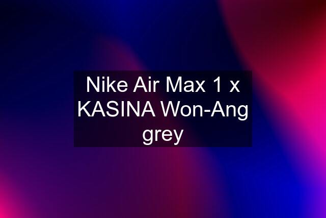 Nike Air Max 1 x KASINA Won-Ang grey