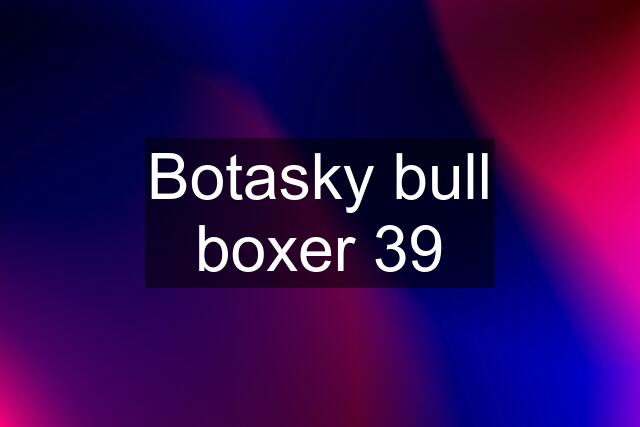 Botasky bull boxer 39