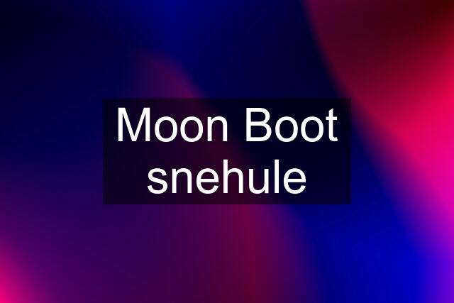 Moon Boot snehule