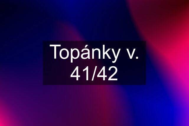 Topánky v. 41/42