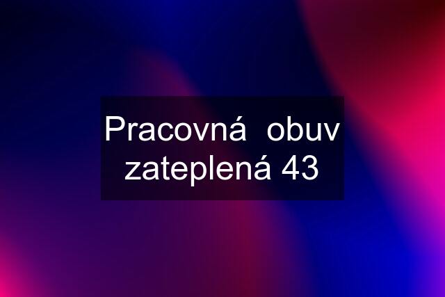 Pracovná  obuv zateplená 43