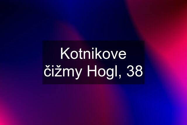 Kotnikove čižmy Hogl, 38